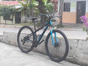 Bicicleta Mtb Rin 29 en Perfecto Estado