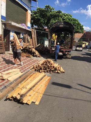 Madera de Pino Canadiense