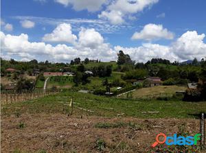 lotes en la vía san antonio la ceja