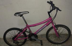 Bicicleta Adulto