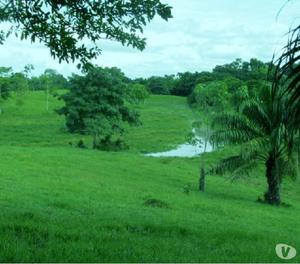 SE VENDE FINCA HERMOSA CENTRAL DE OPORTUNIDAD 185 HECTÁREAS