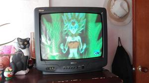 Televisor de 21