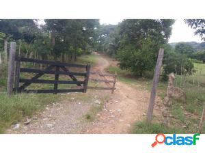 FINCA A ORILLA DE CARRETERA EN CIÉNAGA DE ORO