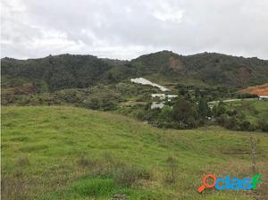 LOTE ENTRE SANTA ROSA DE OSOS Y DON MATÍAS