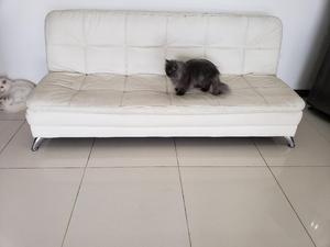 Vendo Sofa Camapara Remodelacion Y Venta