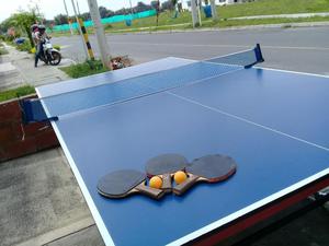 Mesa de Ping Pon Semi Profesional Miyagi