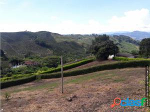 Venta Lote Vereda Buena vista, Palestina