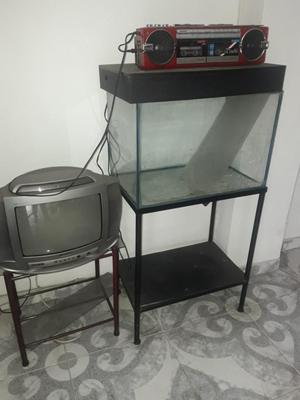 Televisor, Acuario y Grabadora Casetera