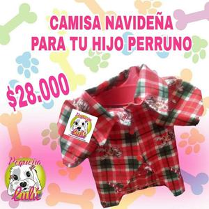 ROPA PARA PERROS