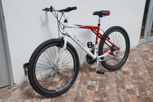 Bicicleta STL