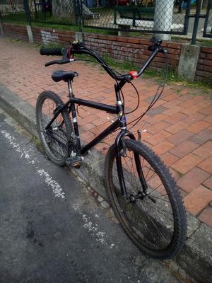 Bicicleta Tipo Playera