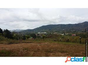 Lote en Venta sector Campo Alegre