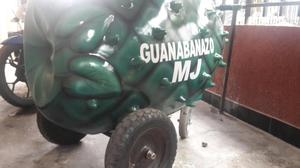 Venta de Carro Guanabanazo