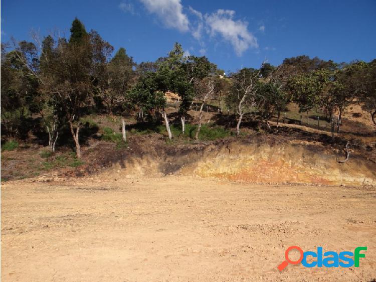 LOTE EN RIONEGRO 11 MIL MTS 420 MILLONES