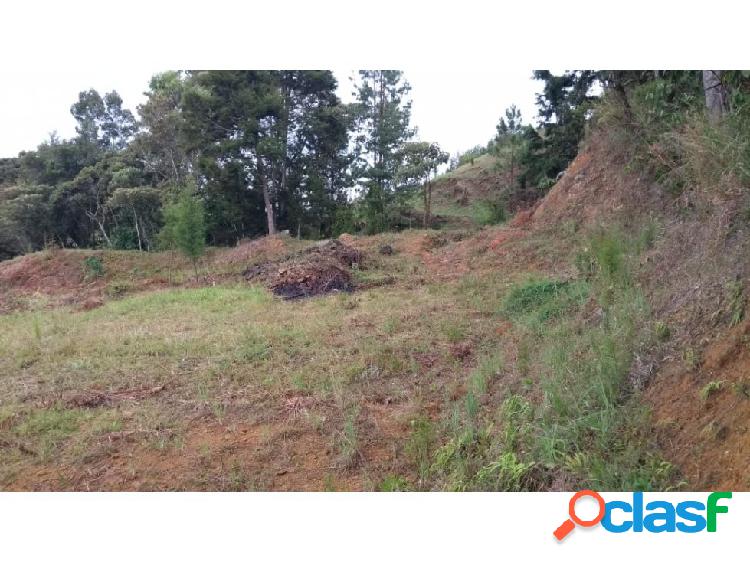 LOTE GUARNE 2 MIL MTS 145 MILLONES