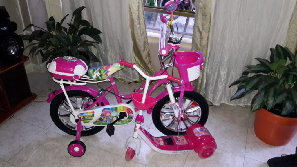 Bicicleta y monopatin para niña.