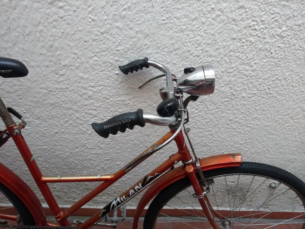 Barata Bicicleta 