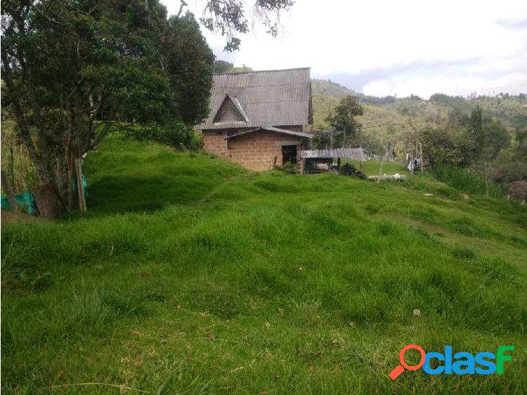 FINCA EN GUARNE 25 MIL MTS 300 MILLONES