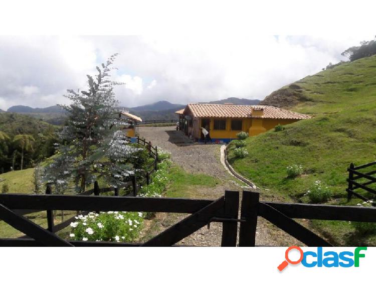 FINCA EN LA UNION GANADERA 1900 MILL