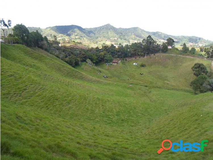 FINCA MARINILLA 63 MIL MTS 680 MILLONES