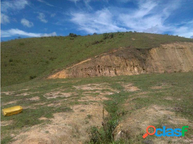 FINCA SIN CASA 16 CUADRAS 750 MILLONES
