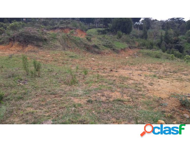 LOTE EN GUARNE 5 MIL MTS 235 MILLONES