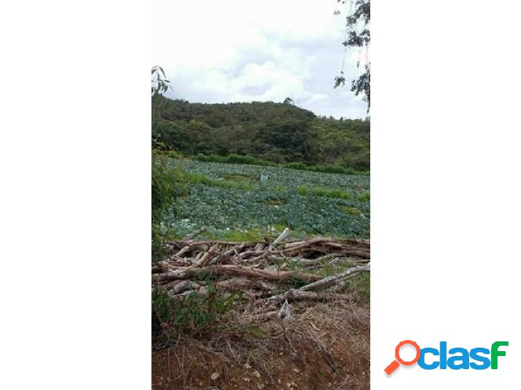 LOTE EN SANTUARIO 7800 185 MILLONES
