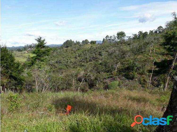 LOTE GUARNE PARA PARCELAR 750 MILLONES