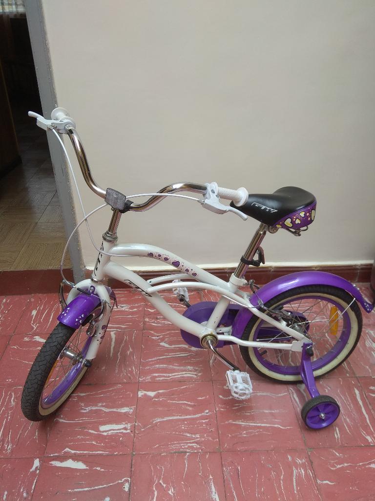 Bonita Bicicleta Infantil Gw 16x