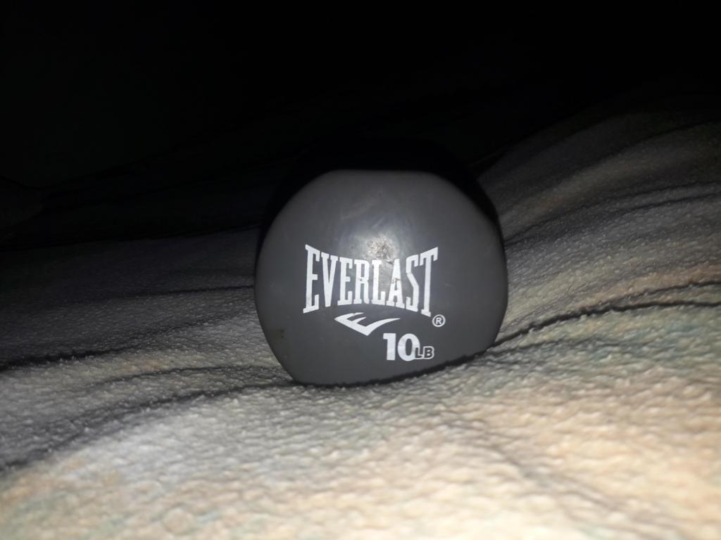 vendo pesa everlast