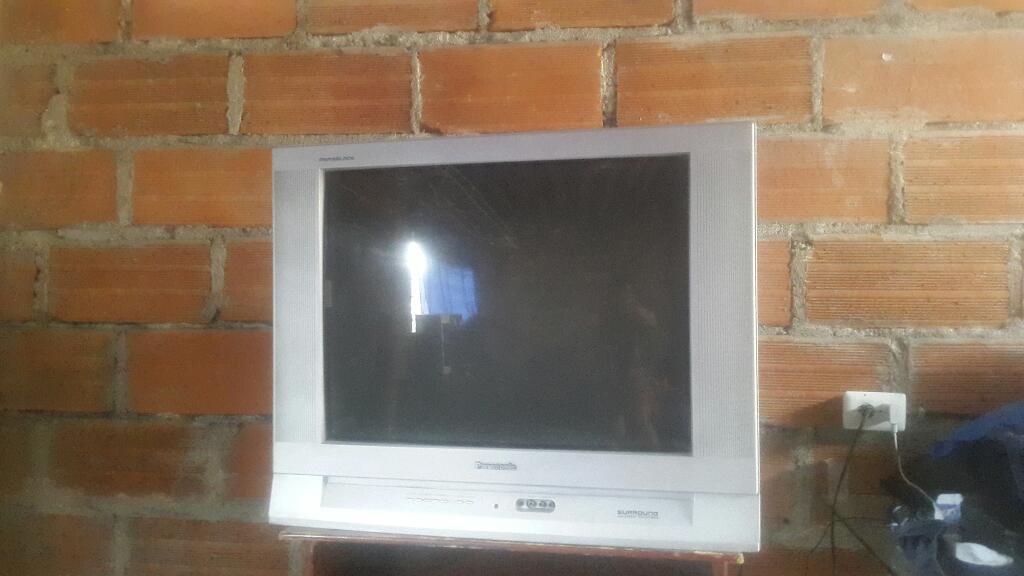 Tv Panasonic de 28 Pulgadas Muy Bueno