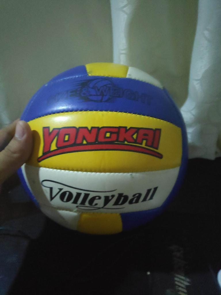 Balon de Voleibol