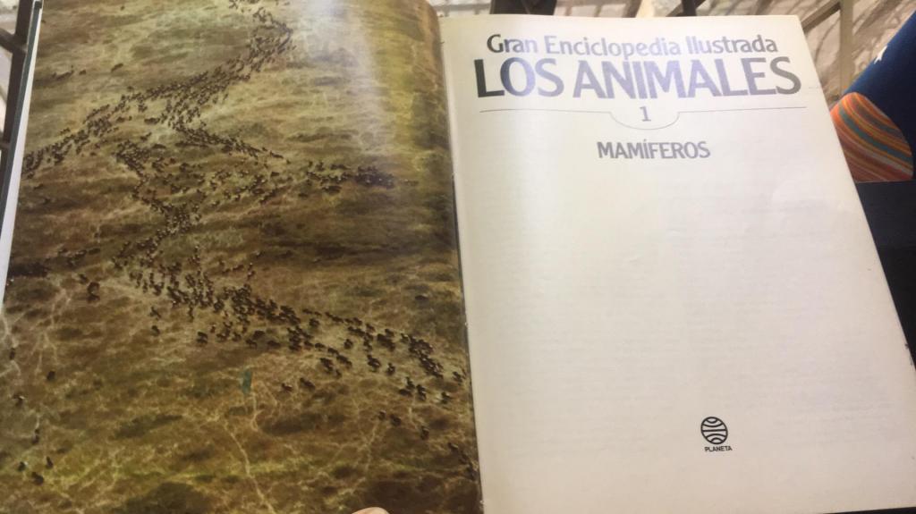 Enciclopedia de Animales Mamíferos