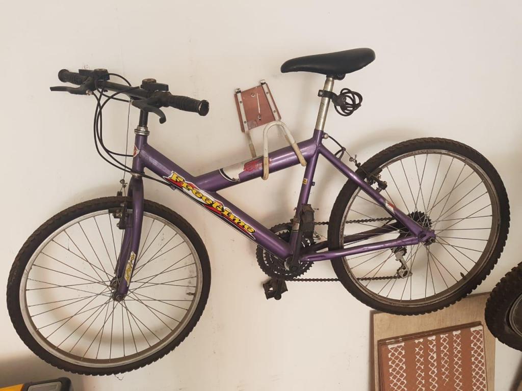 Bicicleta morada