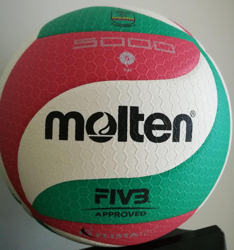 Balón Volleyball Molten  profesional
