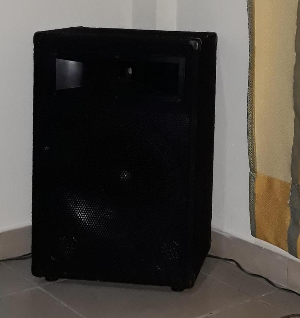 Sonido profesional con dos bafles de 15 pulgadas cada uno