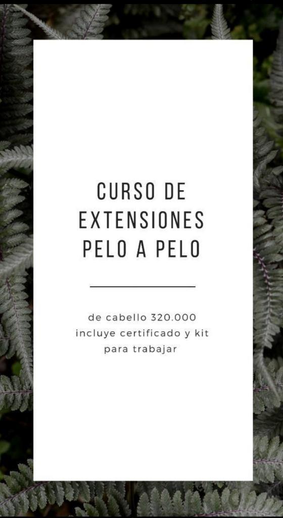 Curso de Extemsiones Punto a Punto