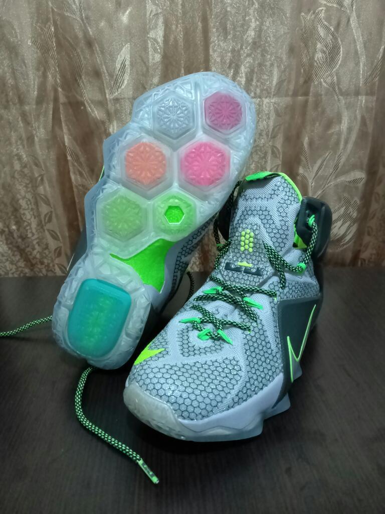 Zapatos Baloncesto Lebron Xii