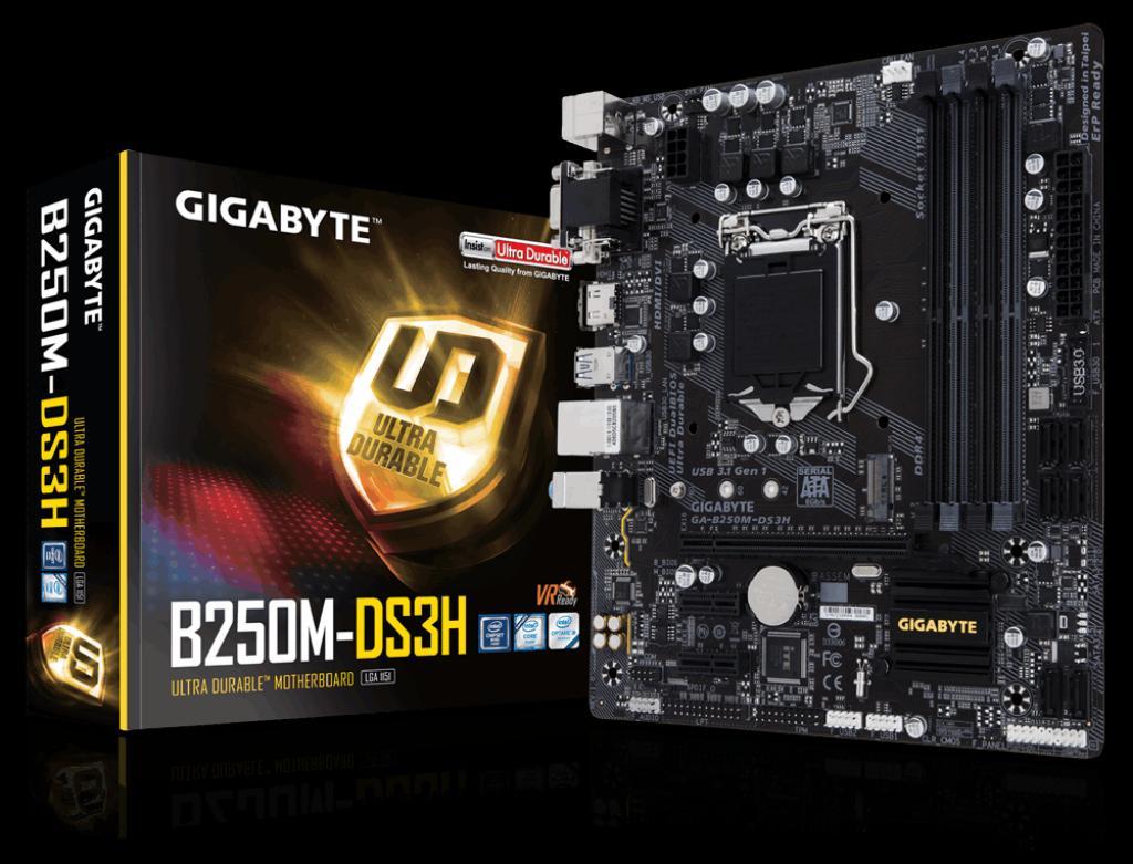 Gigabyte B250mds3h