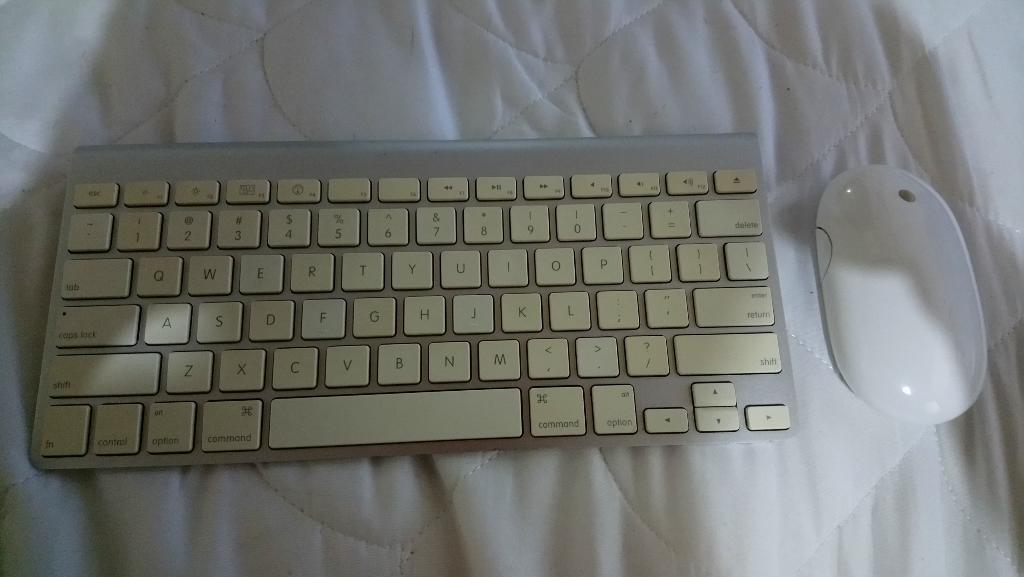 Vendo Teclado Y Mouse para Mac