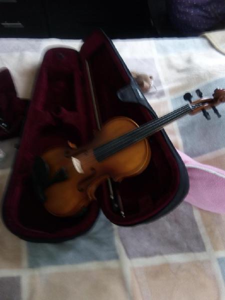 vendo violines