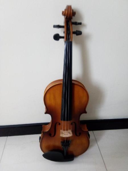 violin acustico violin electrico amplificador