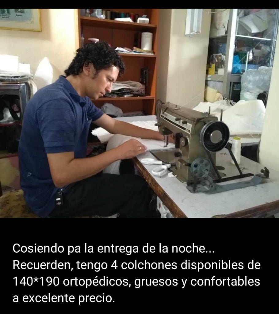 Colchonescamabases