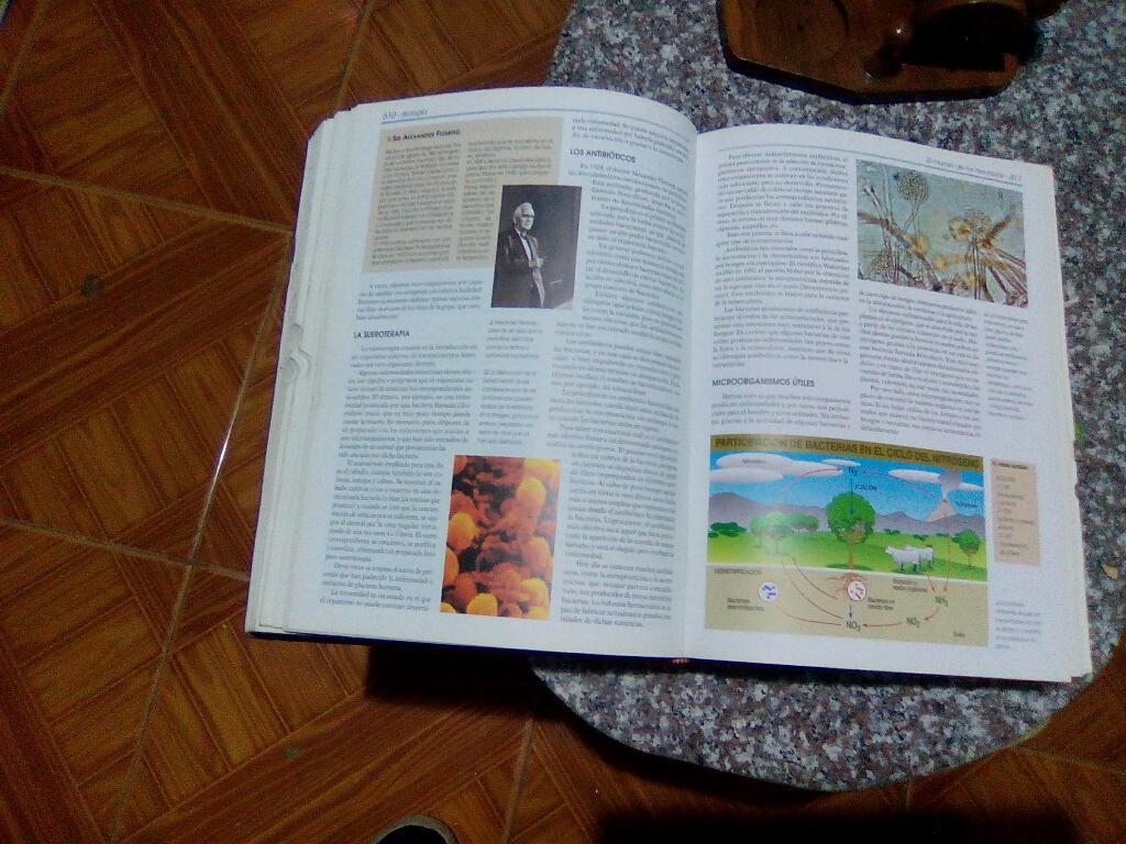 Enciclopedia Tematica Estudiantil