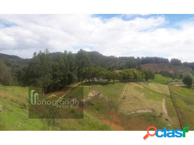 Lote en venta, vía Don Diego-La Ceja.