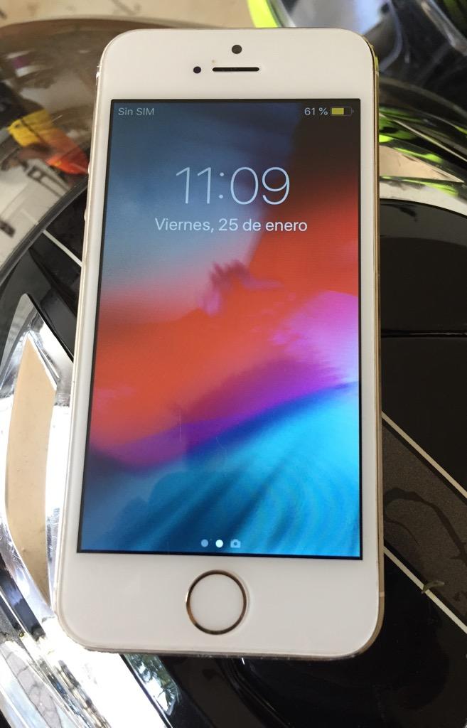 iPhone 5S 16Gb Gold