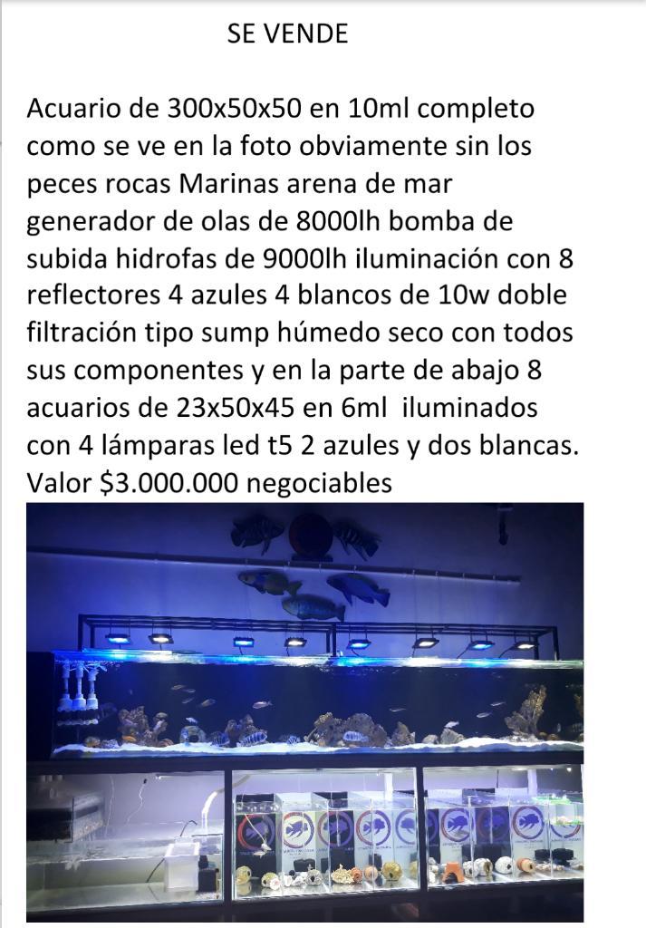 Acuario Completo