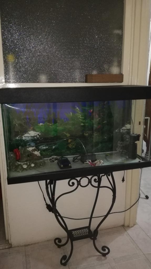 Acuario con Mesa Y Accesorios