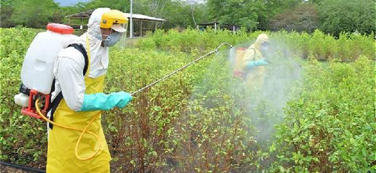 FUMIGACIÓN Y CONTROL DE PLAGAS BRILLAECO