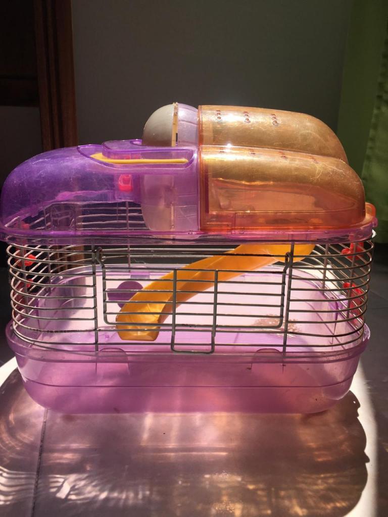Jaula para hamster